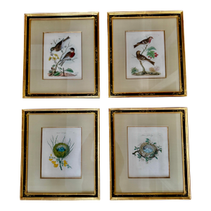 Set of 4 Antique English James Bolton Engravings From Harmonia Ruralis 1845