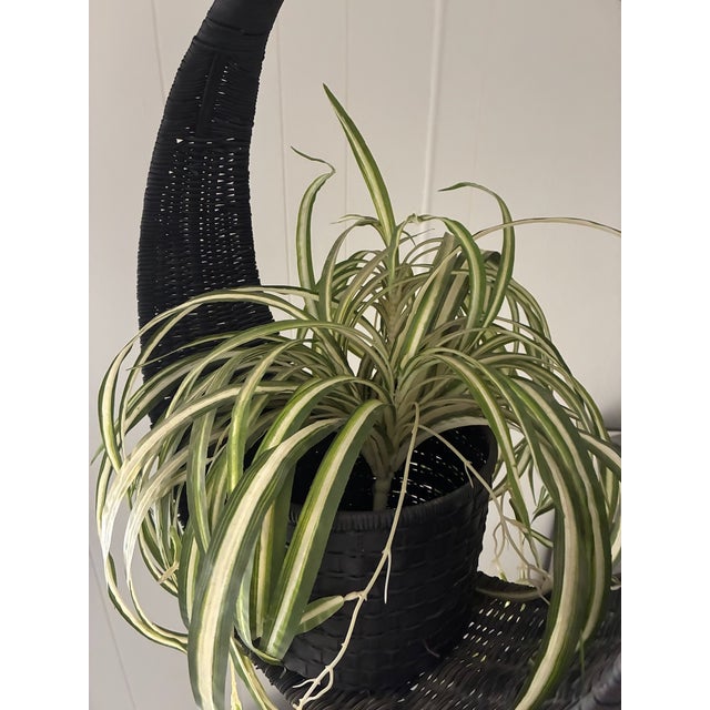 1970s Hanging Swag Silk Fern in Black Basket For Sale In San Francisco - Image 6 of 10