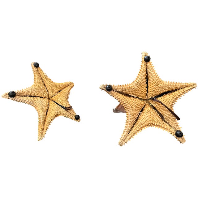 Vintage Natural Conch Shell & Starfish Coastal Table Lamps - a Pair For Sale - Image 15 of 18