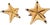 Vintage Natural Conch Shell & Starfish Coastal Table Lamps - a Pair For Sale - Image 15 of 18