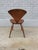 1950s 1950s Mid-Century Modern Bentwood Chair, Attributed to Norman Cherner For Sale - Image 5 of 10