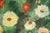 M. Ittesor, Still Life, 20th Century, Oil on Canvas, Framed For Sale - Image 12 of 18