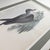 Paper Rare Gould Pattern Gallery, 19th Century Hand-Colored Lithographs From John Gould’s Birds of Australia | Custom Mat Selection - Set of 6 For Sale - Image 7 of 18