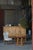 Mid-Century Danish Oak Sideboard attributed to Henning Kjærnulf for Nyrup Furniture Factory, 1950s For Sale - Image 16 of 18