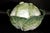 Mid 18th Century French Faience Tromp l'Oeil Strasbourg Factory Cabbage Tureen and Cover For Sale In Philadelphia - Image 6 of 18