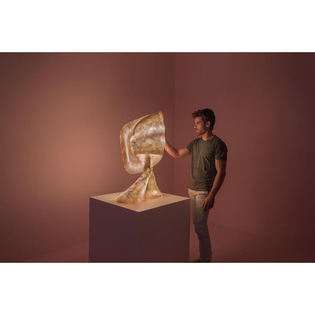 Aqua Fossil Sculptural Table Light in Alabaster and Resin by Amarist Studio For Sale - Image 13 of 14