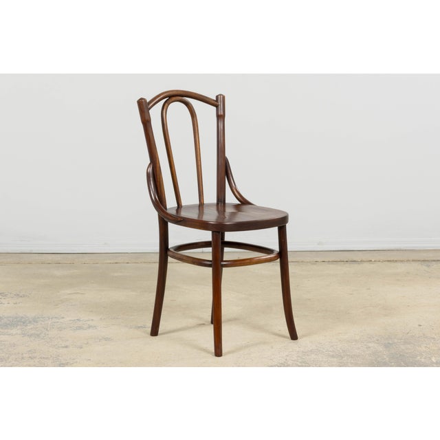 Set of 4 French Bentwood Bistro Dining Chairs, Provence, Mid-20th Century For Sale In New York - Image 6 of 18