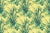 A cool taste of the tropics‚..A nod to the easy elegance and layered sensibility of a relaxed island escape tucked into a...