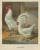 Late 19th Century Christian Förster, The Distinguished Ramelsloher Chicken, 1888, Lithograph, Print For Sale - Image 5 of 10