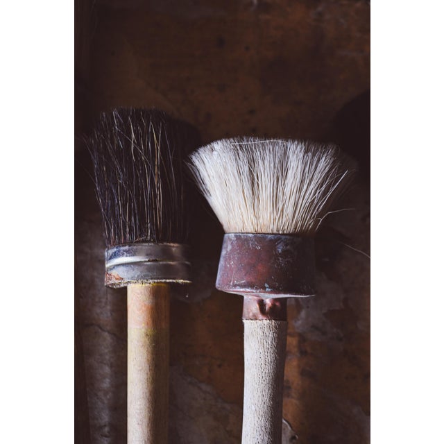 Set of Antique French Lime Brushes, Set of 7 For Sale - Image 6 of 10