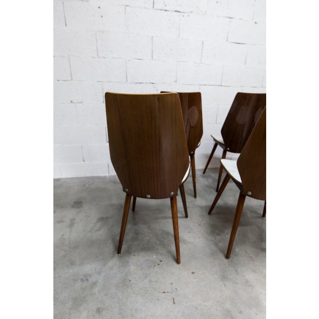 Baumann Model 840 G2S Chairs in Varnished Mahogany Finish, 1963, Set of 6 For Sale - Image 13 of 18