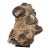 Large Ancient Concretion of Fossilized Shells & Sediment, Likely Cambrian Period For Sale
