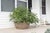 Artifacts Rattan Round Belly Planter with Black Plastic Insert, Natural, 28.50" For Sale - Image 12 of 12