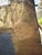 1970s Brass Clad Coffee Table by Rodolfo Dubarry For Sale - Image 12 of 17