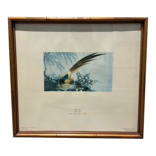 Vintage 1974 Chinese Pheasant Bird Botanical Print in Gilt Bamboo-Style Frame For Sale