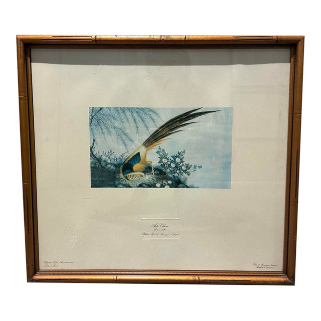 Vintage 1974 Chinese Pheasant Bird Botanical Print in Gilt Bamboo-Style Frame For Sale