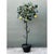Vintage Italian Painted Metal Lemon Tree For Sale - Image 4 of 12