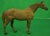 1950s Lead Horse W/ Tattersall Blanket Figurine For Sale - Image 5 of 11