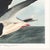 Black Skimmer, Vintage Art Print Reproduction From Birds of America by John James Audubon, 24" X 24" For Sale - Image 10 of 10
