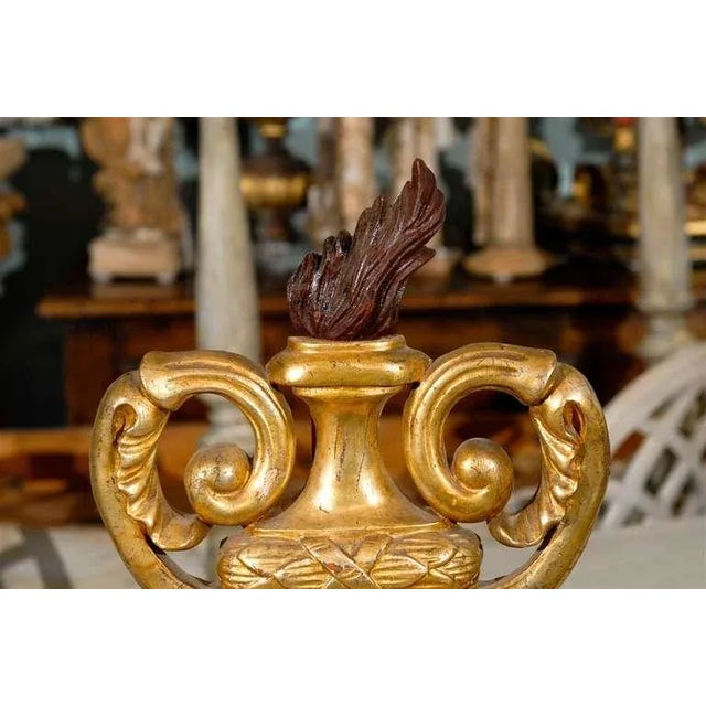 Italian Early 20th Century Italian Gilded & Painted Wooden Volute Fire Urn For Sale - Image 3 of 6