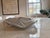 2020s Beatriz Ball "Garden" Banana Leaf Extra Extra Large Platter (39") For Sale - Image 10 of 10