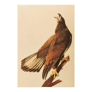 1966 Vintage Farmhouse Cottage Print "Bald Eagle" After John James Audubon