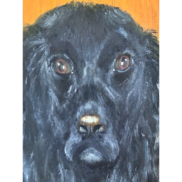 1970s Vintage Original Dog Portrait Oil Painting, Signed Animal Art For Sale - Image 5 of 17
