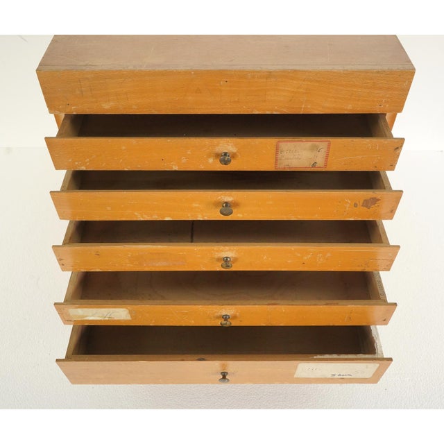 Vintage French J.M. Paillard Wood Art Supply Display Cabinet For Sale - Image 4 of 16