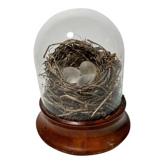 Andy Hudson Art Glass Eggs in a Nest For Sale