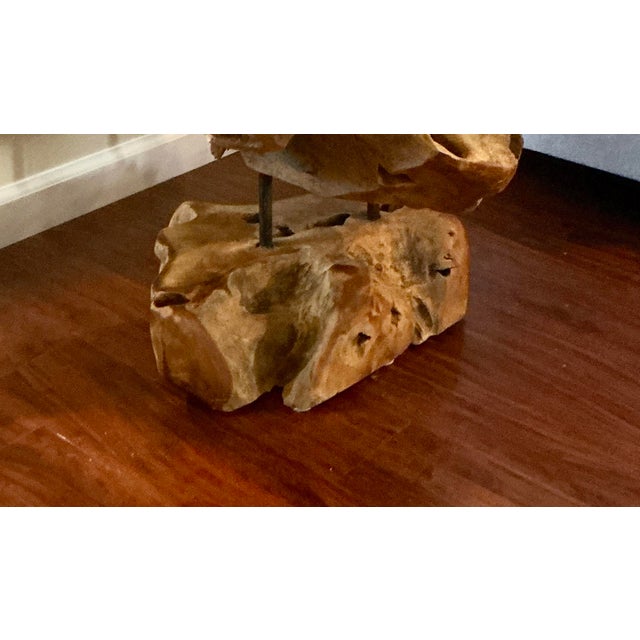 Organic Cyprus Root Sculpture - One of a Kind Statement Piece! For Sale - Image 4 of 12