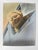 Early 20th century colortone advertising photograph of a smiling blonde woman in a blue car. Unsigned. Unframed, edge and...