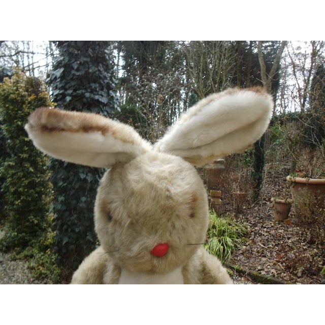 Beige Advertising Mascot Rabbit for Biscuit Manufacturer Bahlsen, 1960s For Sale - Image 8 of 15