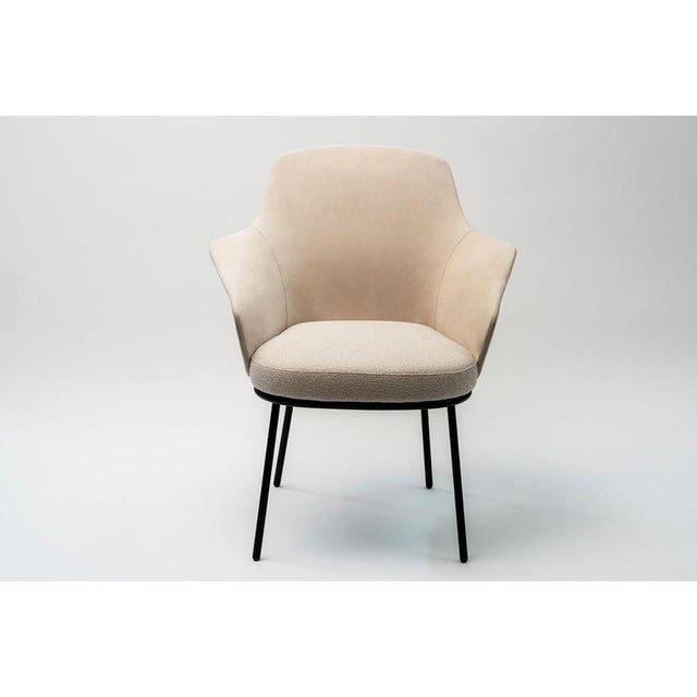 Linus Armchair by Marco Dessí For Sale - Image 10 of 16
