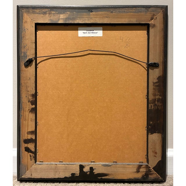 Vintage Moth & Hibiscus Botanical Illustration in Black & Gold Wood Frame For Sale - Image 4 of 4