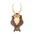 Black Forest Roe Deer Antlers Hunting Trophy 1950 Mount For Sale