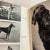 1950s 1950s the Dog in Nature, History and Art Book For Sale - Image 5 of 12
