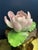 Herend Vintage Herend Water Lily For Sale - Image 4 of 5