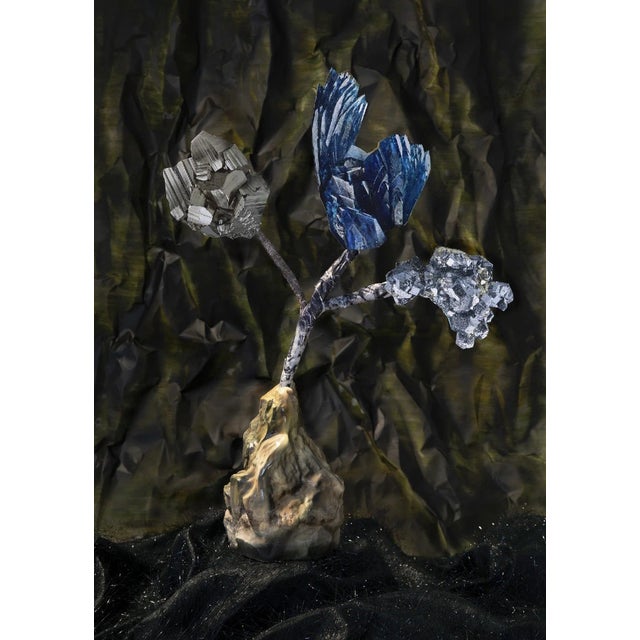 Michaela Karásek Čejková, Puget for Geologists, 2000s, Print For Sale