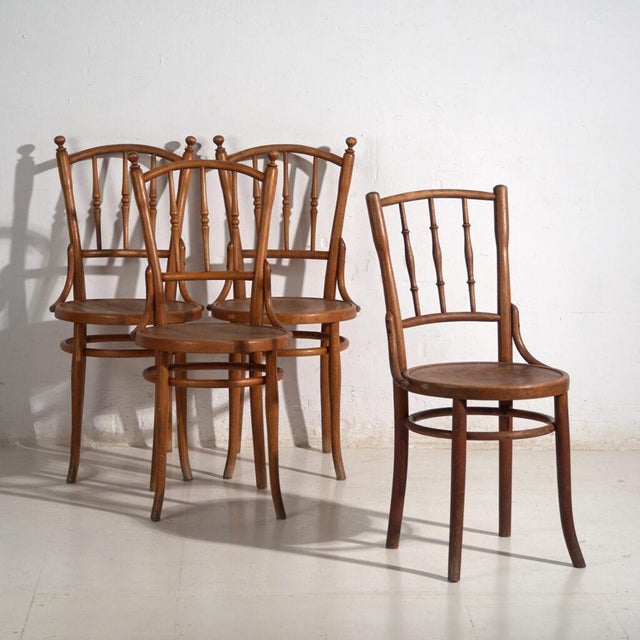 Antique Bentwood Chairs, Central Europe, 1900s, Set of 4 For Sale - Image 13 of 13