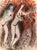 Original lithograph by Marc Chagall from The Bible of 1960 "Adam et Eve et le fruit défendu" Unsigned 35 x 26 cm Excellent...