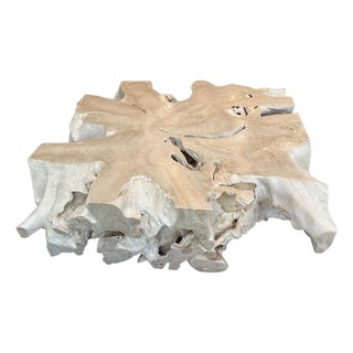 Andrianna Shamaris Monumental Bleached Teak Wood Organic Root Coffee Table For Sale