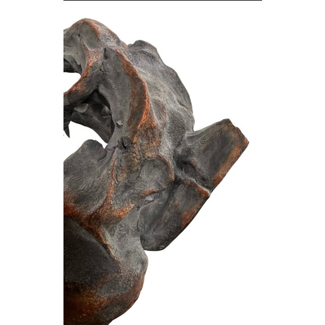 Late 20th Century Tyrannosaurus Rex Skull Sculpture For Sale In Austin - Image 6 of 13