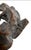 Late 20th Century Tyrannosaurus Rex Skull Sculpture For Sale In Austin - Image 6 of 13