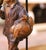 19th Century Carved Wood Figure Table Lamp Signed Jeret For Sale - Image 9 of 12