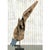 Late 20th Century Driftwood Sculpture on Steel Plinth For Sale - Image 13 of 13