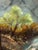 1970s Mary Zeller Mountain Stream Impressionist Painting, Signed For Sale - Image 5 of 12