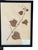 1965 French Herbarium Botanical Specimens – Set of 6 Custom Framed Pressed Botanicals For Sale - Image 9 of 15