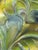 Late 20th Century Vintage Palm Beach Regency Bespoke Parcel Gilt Antiquated Palm Bronze Brackets by Turtle and Crane -a Pair Newly Painted For Sale - Image 5 of 11