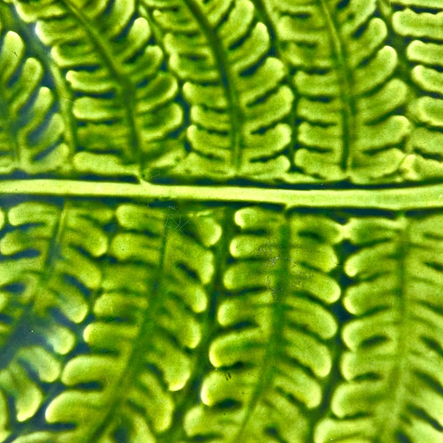 From Sarreguemines, a Majolica glazed green leaf shaped server, France, circa 1870. Shaped as a large single Fern leaf....