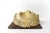 Mid 20th Century Mid-Century Ceramic Head Wall Sculpture For Sale - Image 5 of 8